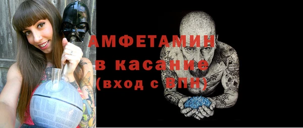 хмурый Абаза