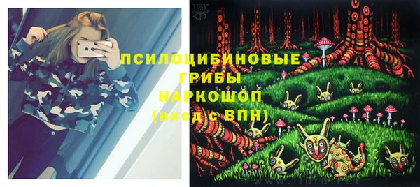 Альфа ПВП Алзамай