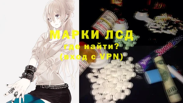СК Абинск