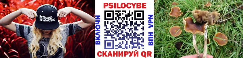 Псилоцибиновые грибы прущие грибы  наркошоп  Ростов-на-Дону 